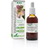 Soria Extract Harpagophyte S Xxi 50ml
