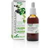 Soria Extracto Arandano S Xxi 50ml
