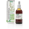 Soria Extracto Artemisa 50ml