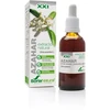 Soria Ekstraktas Azahar S XXI 50ml