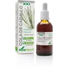 Soria Asiūklio ekstraktas S Xxi 50ml