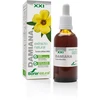 Soria Extracto Damiana S Xxi lašiukai 50ml