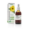 Soria Extracto Damiana S Xxi lašiukai 50ml