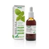 Soria Extracto De Melisa S Xxi 50ml
