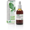 Soria Extracto Desmodens S Xxi 50ml