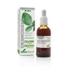 Soria Desmodens ekstraktas S Xxi 50ml