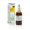 Soria Kiaulpienių ekstraktas S Xxi 50ml