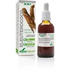 Soria Extracto Eleuterococo S Xxi 50ml