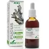 Soria Fucus ekstraktas S Xxi 50ml