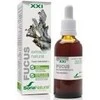 Soria Fucus ekstraktas S Xxi 50ml