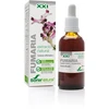 Soria Fumaria ekstraktas S Xxi 50ml