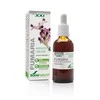 Soria Fumaria ekstraktas S Xxi 50ml