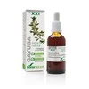 Soria Meškauogių ekstraktas S Xxi 50ml