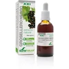 Soria Juodųjų serbentų ekstraktas S Xxi 50ml