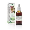Soria Harpagofito ekstraktas S Xxi 50ml