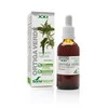 Soria Žaliosios dilgėlės ekstraktas S Xxi 50ml