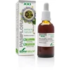 Soria Extracto Pasiflora S Xxi 50ml