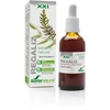Soria Extracto Regaliz S Xxi 50ml