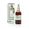 Soria Extracto Natūralus rompepiedros lapų Lepidium latifolium L. ekstraktas augaliniame glicerine S Xxi 50ml