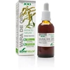 Soria Extracto Vara Oro S Xxi 50ml