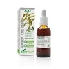 Soria Goldenrod ekstraktas S Xxi 50ml