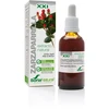 Soria Sarsaparilės ekstraktas S Xxi 50ml