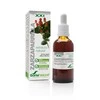 Soria Sarsaparilės ekstraktas S Xxi 50ml
