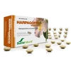 Soria Harpagofito 600 Mg 60 vnt