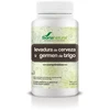 Soria Natural Alecosor kviečių gemalų-mielių alaus tabletė