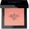 Stendhal Illuminating Blush 300 Rose Jaipur 5., 5 g
