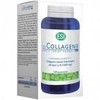 Trepatdiet Collagenix 120 tab