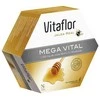 Vitaflor Mega Vital 20 Vials 200ml