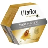 Vitaflor Mega Vital 20 Vials 200ml