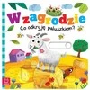 Aksjomat Aksioma Kieme Ką atrasiu pirštu? 36944