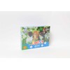 Žaidimas Memosy Cats PLX PUD ALEXANDER 2785 ALX