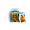 Alexander Card Memory Game Peter Capybara Cards GR0790