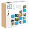 Alexander Memos Birds 23 Sidabras 28935