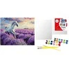 Norimpex Art Active *****Malow.po num.40x50 W lawendow.polach 68199