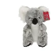 Beppe Koala australijski 25cm 14206 24244