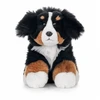 Beppe Pies berneński 23cm 14285 25036