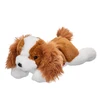 Beppe Pliušinis žaislas - Kavalieriaus karaliaus Karolio spanielis, 35 cm