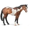 Collecta Apaloosa eržilas