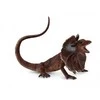 Collecta Figūrėlė Apykaklėtasis driežas (L)