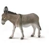Collecta Surinkti Surinkti BARNAS (BARNAS)