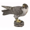 Collecta Figūrėlė - Sakalas keleivis