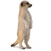 Collecta Figūrėlė - Surikata