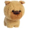 Daffi Maskotka Teddy Pets Griffon Brukselski