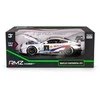 Daffi Model RMZ Hobby 1:32 BMW M8 GTE2018 H-121 81215