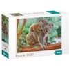 Dodo Dėlionė 1000 vnt. - Koalos
