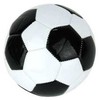 Dromader Futbolo kamuolys mini TR-20499 02481 24811